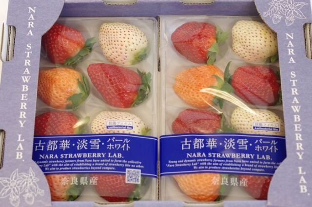 奈良県産3色いちごセット(古都華＆淡雪＆パールホワイト)250ｇ×2Ｐ