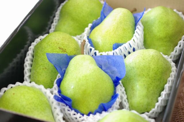 敬老の日　西洋梨販売 山形県　約7玉〜約9玉
