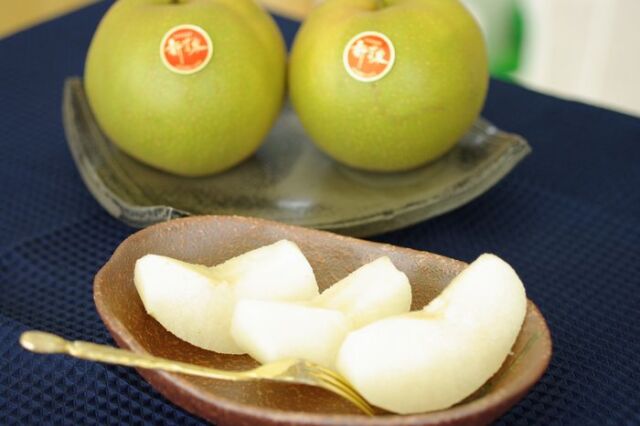 新甘泉（しんかんせん）通販 鳥取のブランド和梨を販売取寄。 鳥取産