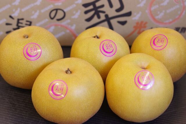 新美月梨　(しんみつきなし) 新潟県産 販売