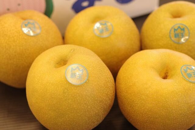 新王梨(しんおうなし) 新潟県産 通販