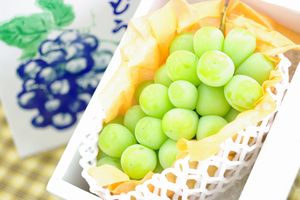 シャインマスカット葡萄通販 種なし皮ごと食べられるぶどうを販売取寄 1房 約550ｇ