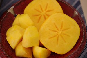 庄内柿通信販売 種が無くなめらかな食感の柿を販売取寄 約3・5kg 約14玉~約18玉 山形産