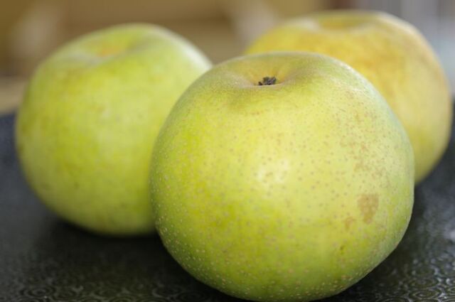 秀玉梨（しゅうぎょくなし）通信販売 幻の青なし糖度約12度を販売取寄。 山形・他産地