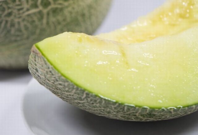 タカミメロンお取り寄せ販売 熊本産。通販で熊本貴味メロンを。