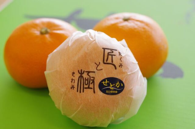 匠と極み　せとか通信販売 大トロの異名をもつ柑橘を販売取寄。愛媛県産