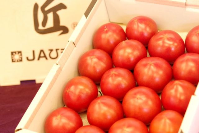匠トマト販売。愛知県のこだわりとまと通販 形・大きさは若干不揃い。約12個〜約16個