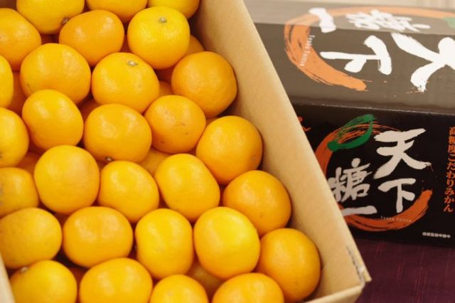 天下糖一みかん てんかとういつ蜜柑ＪＡとぴあ浜松  静岡県 糖度12度以上