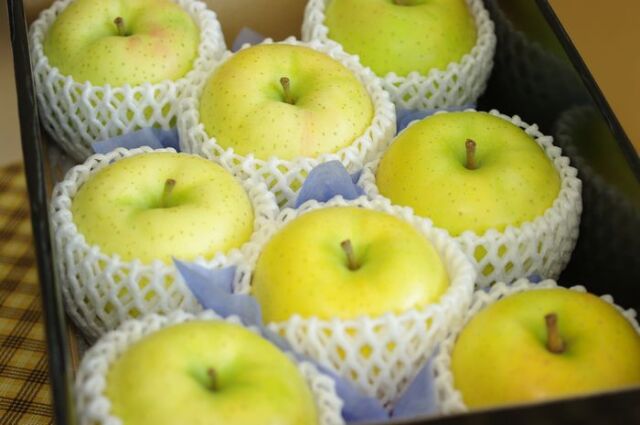 青森県産加工用りんご トキ 約20kg りんご【ぐんま名月】約5kg（12～20