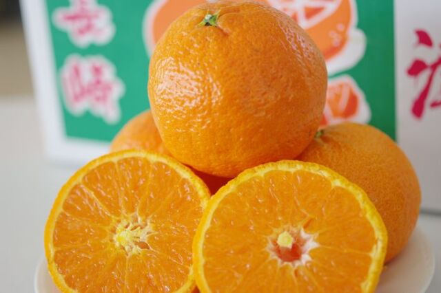 津之輝（つのかがやき）通販 温室栽培の糖度約13度の柑橘を販売取寄。Ｓ〜2Ｌサイズ 長崎県産