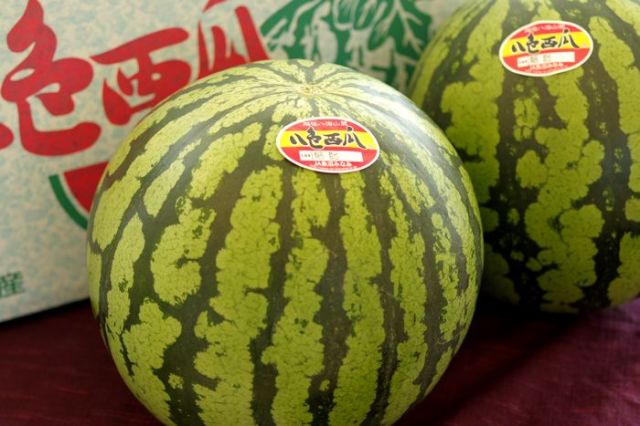 八色スイカ通販 新潟県産のこだわり品 やいろ西瓜Ｌ〜4Ｌ 2玉入