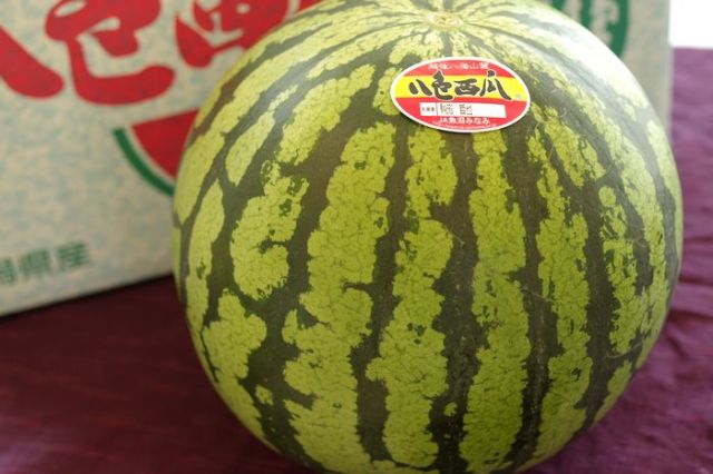 八色スイカ販売 新潟県産のこだわり品 やいろ西瓜Ｌ〜4Ｌ 1玉入