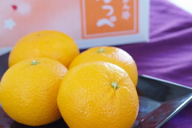 ゆめほっぺ　山口産販売 糖度13.5度以上のせとみを通販で取寄。山口県産