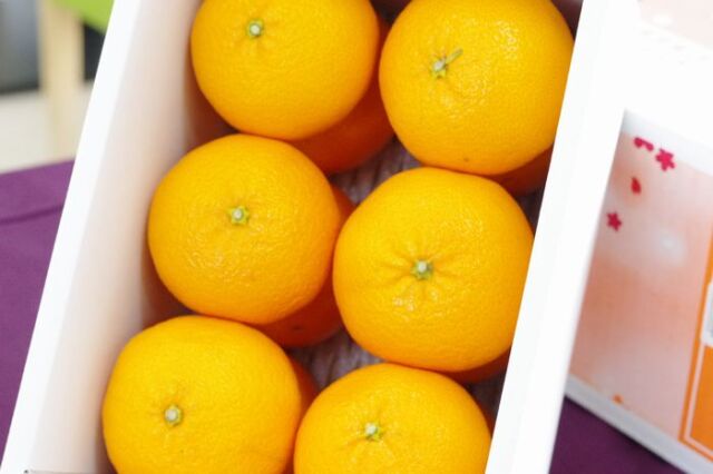 ゆめほっぺ 山口産販売 糖度13.5度以上のせとみを通販で取寄 ゆめほっぺ 山口産販売 糖度13.5度以上のせとみを通販で取寄