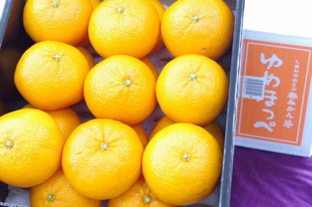 ゆめほっぺ 山口産販売 糖度13.5度以上のせとみを通販で取寄 ゆめほっぺ 山口産販売 糖度13.5度以上のせとみを通販で取寄