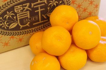 マル賢みかん販売 等級【賢宝】お歳暮通販に 和歌山ＪＡありだ　7.5kg Ｓ〜Ｌ