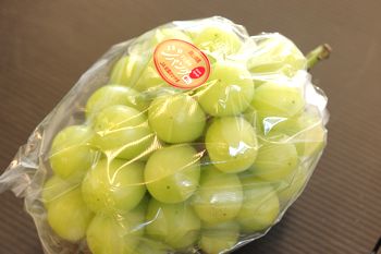 7/上旬頃から8/下旬までに到着 御中元 岡山県 晴王シャインマスカットぶどう 1房 約600ｇ