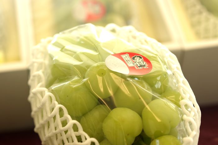 桃太郎ぶどう通販 岡山県の種なし皮ごと食べられる葡萄を販売取寄。1房 約700ｇ 岡山・他産地