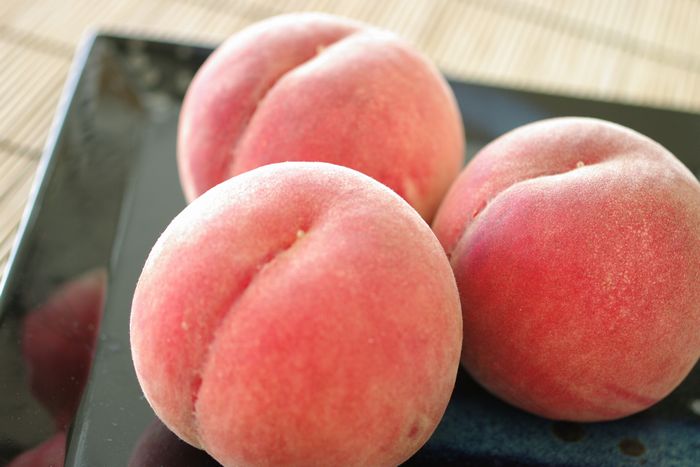 山梨桃の通販 御中元 暑中見舞い 残暑見舞い 御盆に。夏ギフトの贈り物 糖度約11・5度