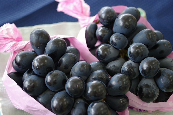 ナガノパープル葡萄通販 長野県産。種なし皮ごと食べられるぶどうを販売