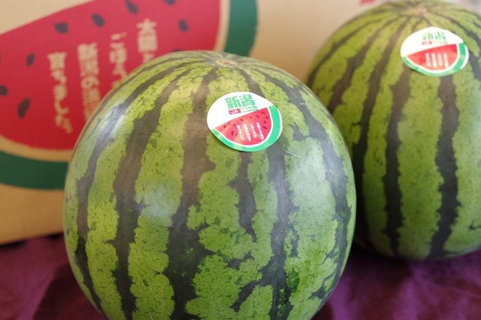 新潟砂丘地西瓜通信販売 JA新潟こだわりのすいかを販売取寄。2玉L〜4L