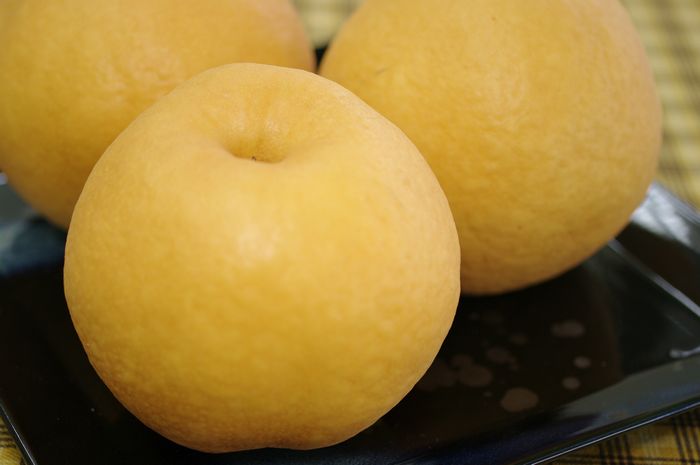 糖度12度以上！新興梨販売 和梨を通販で取寄 新潟産しんこう梨