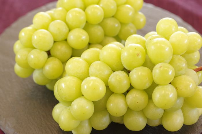 黄華ぶどう おうか葡萄 長野県 1房 550g 皮ごとでほぼ種無し
