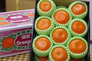 麗紅柑れいこうかん通信販売 せとかと同じ交配品種の柑橘を販売取寄。中箱 愛知・他産地