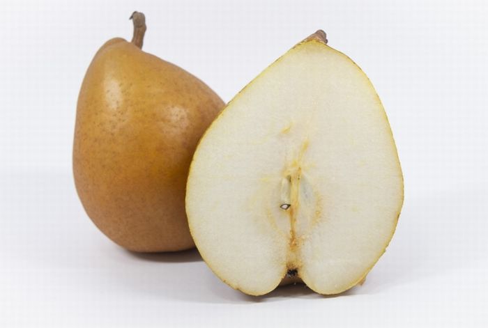 ゼネラルレクラーク通信販売 山形・青森・西洋梨でサビが特徴の洋梨を販売取寄。