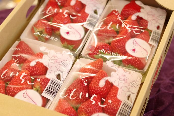 さくらももいちご販売 通販で徳島県佐那河内産の桃苺お取り寄せ！モモイチゴ 約200ｇ×4Ｐ