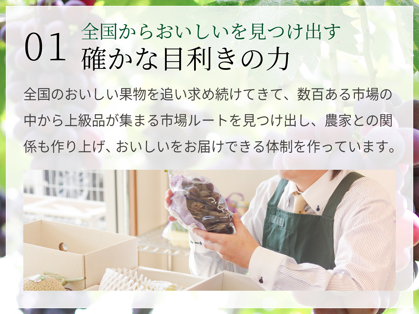 メロゴールド　ＵＳアメリカ産　約23玉〜約36玉