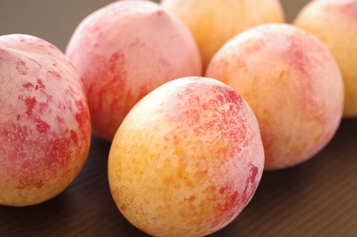 シナノパール 長野県 すもも李