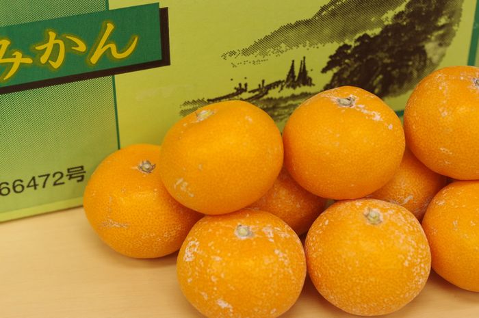 新堂みかん通販 和歌山有田 宗兵衛みかん お歳暮に。2Ｓ〜Ｌサイズ