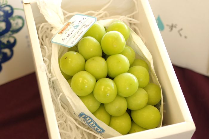 とっておきのシャインマスカット葡萄通販 長野県産。大地のしずく ＪＡ特選品 1房入