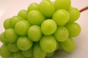 6/中旬頃から8/中旬頃に到着　御中元シャインマスカット葡萄通販 種なし皮ごと食べられるハウス栽培ぶどうを販売取寄。1房 約500ｇ