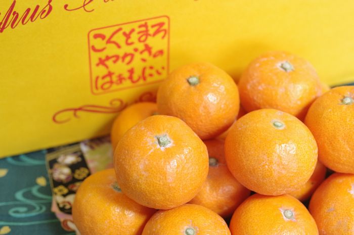 Junミカンカンさま専用 みかん ひぜんユース 秀品 6L〜Lサイズ 5kg にじゅうまると同