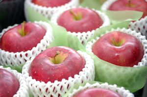 秋陽りんご　山形県の新品種リンゴです！平成18年度デビュー！ 中箱　約7玉〜約9玉