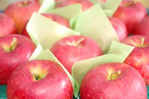 秋陽りんご　山形県の新品種リンゴです！平成18年度デビュー！ 5ｋｇ　約14玉〜約18玉