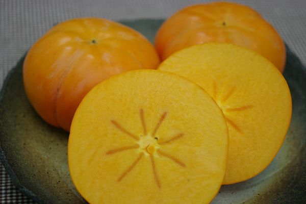 太天柿（たいてんがき）通販 愛媛県周桑産福嘉来ふくがきを販売。糖度15度以上 果皮擦れ・傷あります