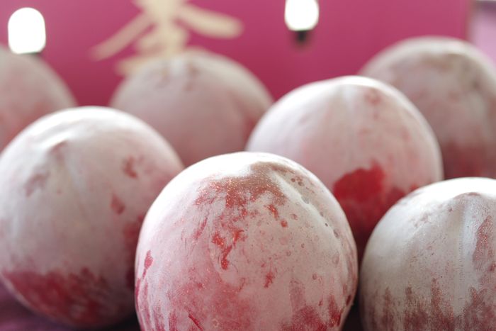 太陽プラム　約7玉〜約9玉　山梨・長野・他産地