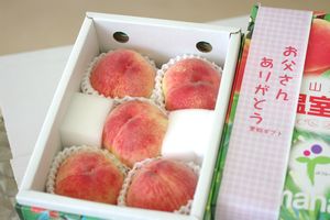 父の日 桃 ギフト｜山梨県産ほか ハウス桃 化粧箱 約4〜6玉 一足早い温室栽培の桃
