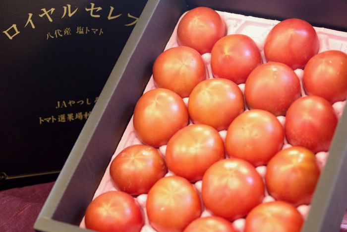 ロイヤルセレブ塩トマト販売 糖度10度以上フルーツとまと通販で取寄せ。約900ｇ 約8玉〜約16玉