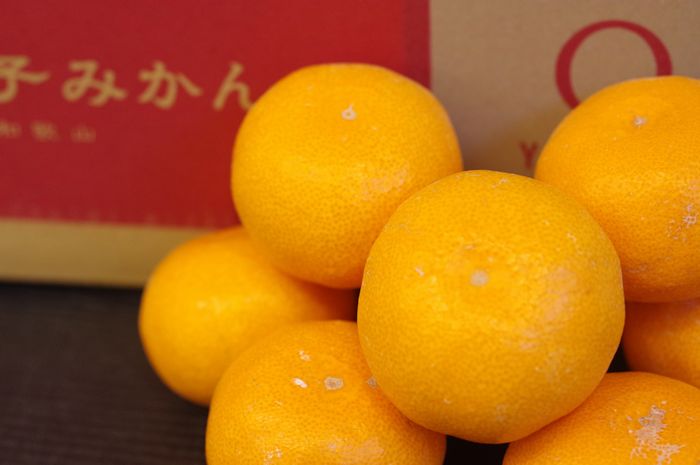 虎の子みかん 有田みかん 通販でお歳暮に 和歌山県産  5ｋｇ Ｓ〜Ｌ