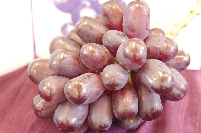 ウインクぶどう　1房　山梨・他産地