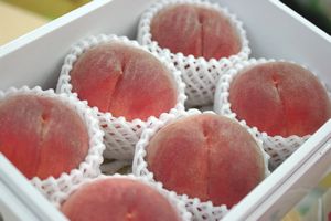 桃　通販。秋のももを販売取寄。糖度約12度のモモを果物ギフトに 小箱 5玉〜6玉