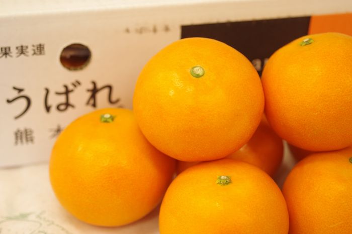 ゆうばれ　熊本県産新品種の柑橘