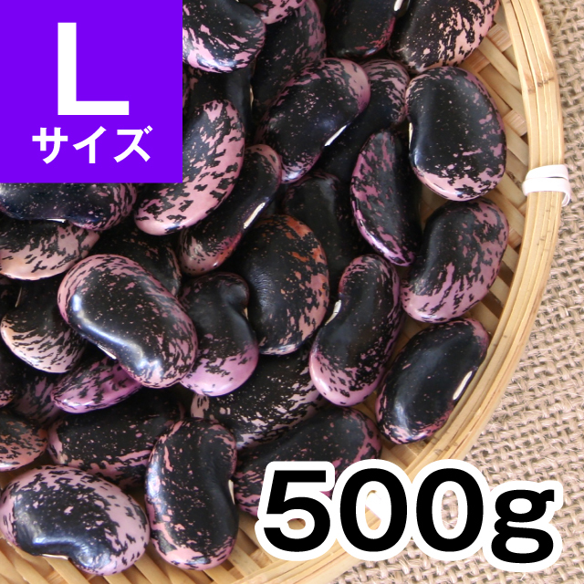 花豆 通販 特大サイズ 信州産紫花豆 甘煮レシピも