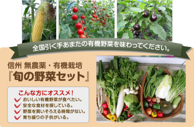 全国引く手あまたの有機野菜を味わってください。信州 無農薬・有機栽培『旬の野菜セット』