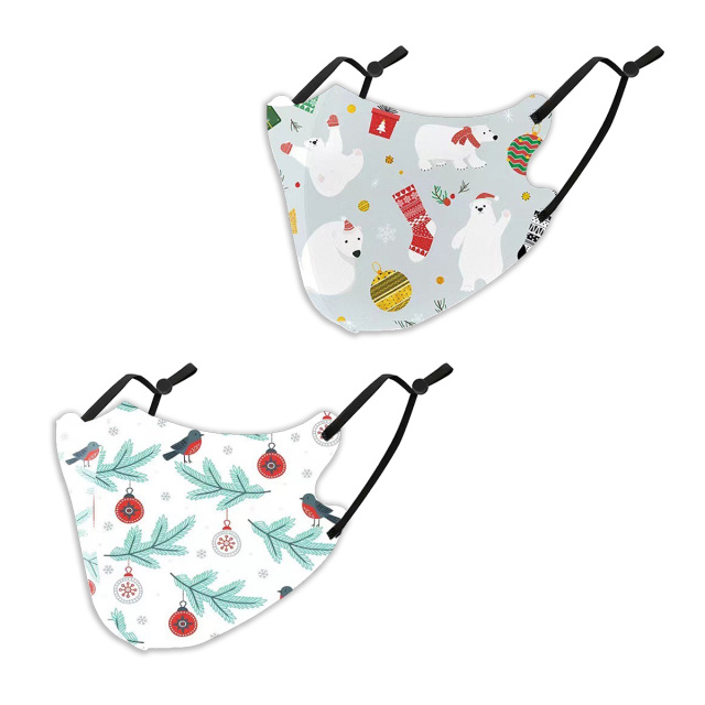 クリスマスマスク2枚SET (  抗菌 消臭 洗えるマスク　パーティ　プレゼント　イベント用）