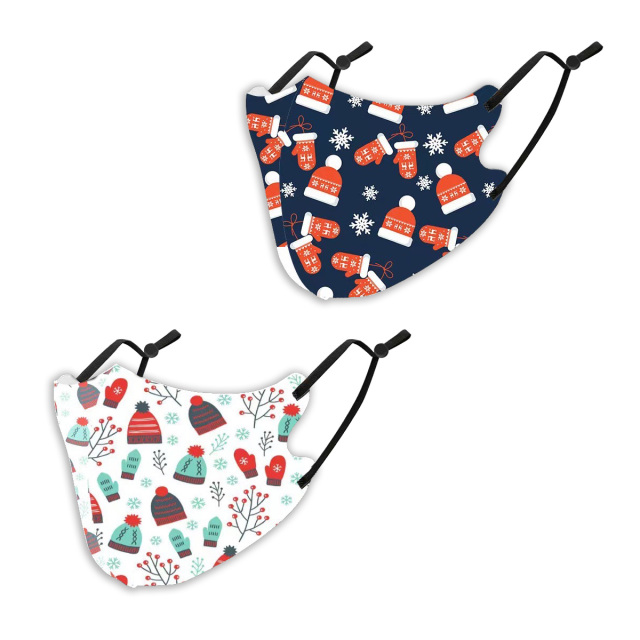 クリスマスマスク2枚SET (  抗菌 消臭 洗えるマスク　パーティ　プレゼント　イベント用）